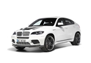 BMW X6 Schnitzer 10.jpg