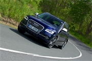 Audi SQ5 TDI 8.jpg